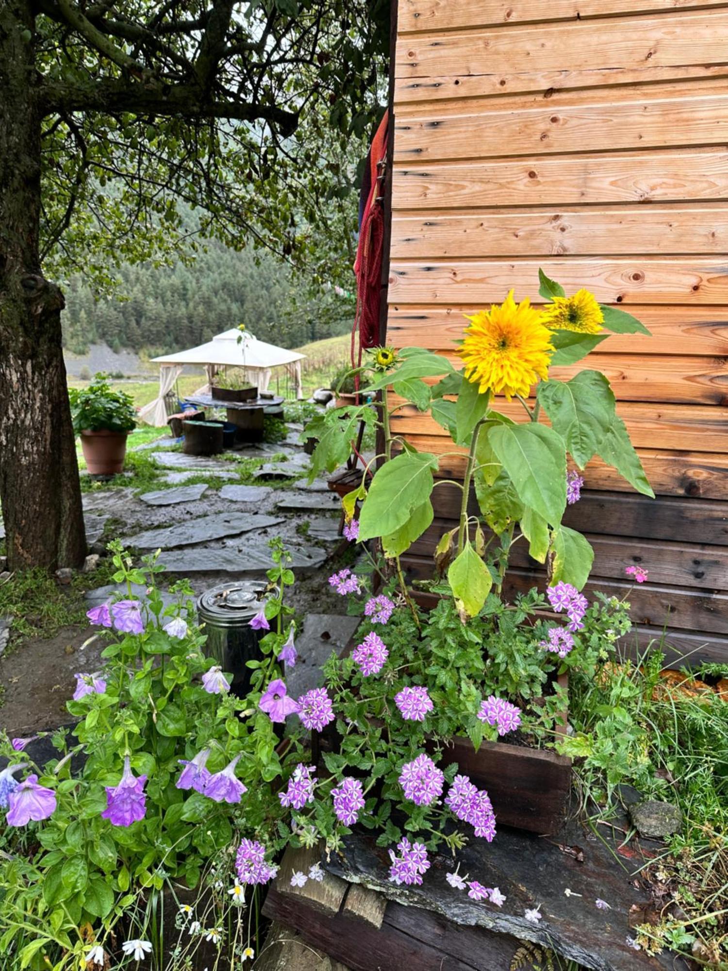 Pirikiti Otel Akhmeta Dış mekan fotoğraf