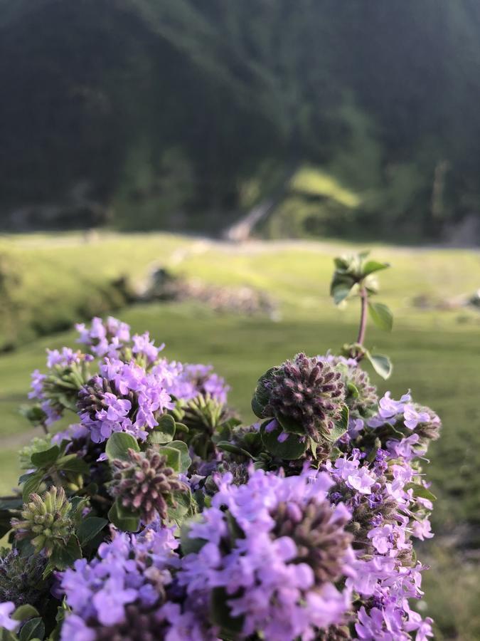 Pirikiti Otel Akhmeta Dış mekan fotoğraf