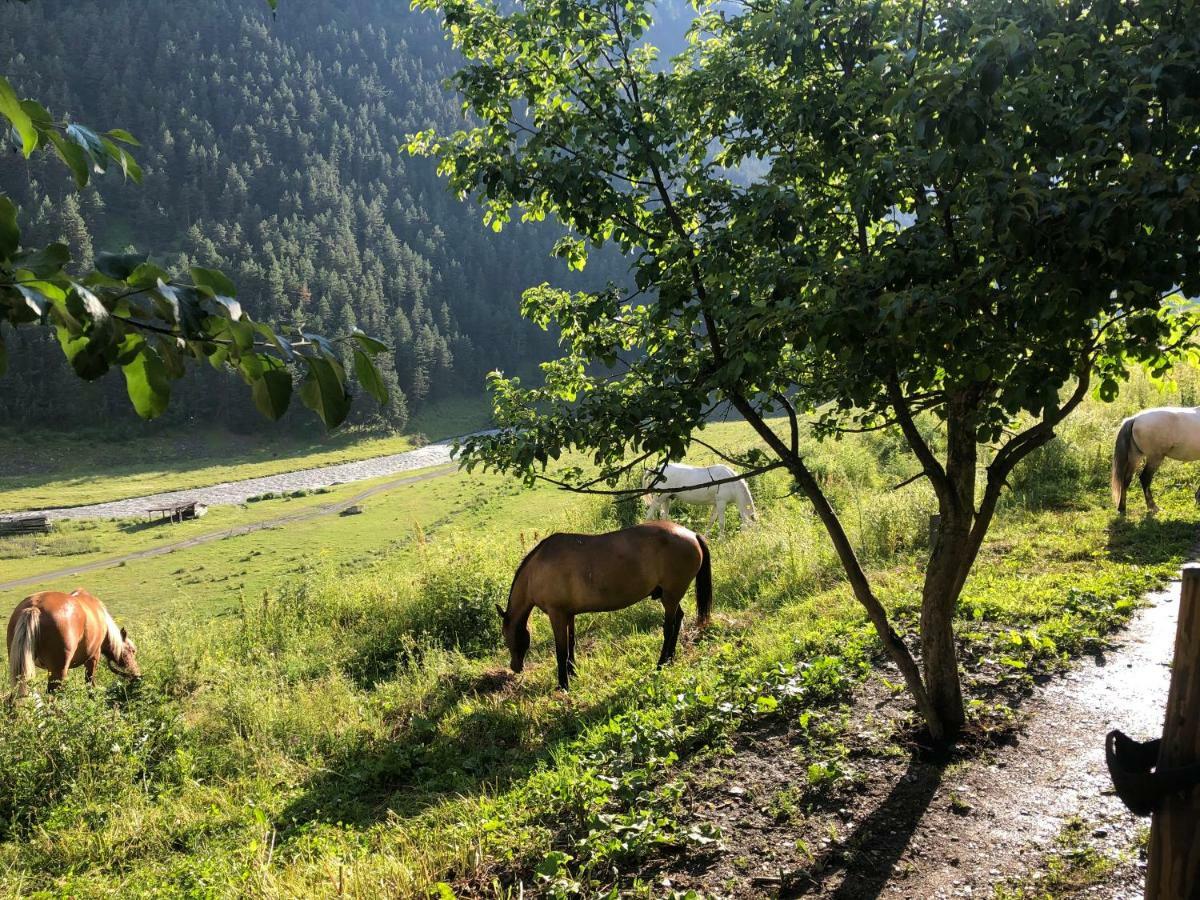 Pirikiti Otel Akhmeta Dış mekan fotoğraf